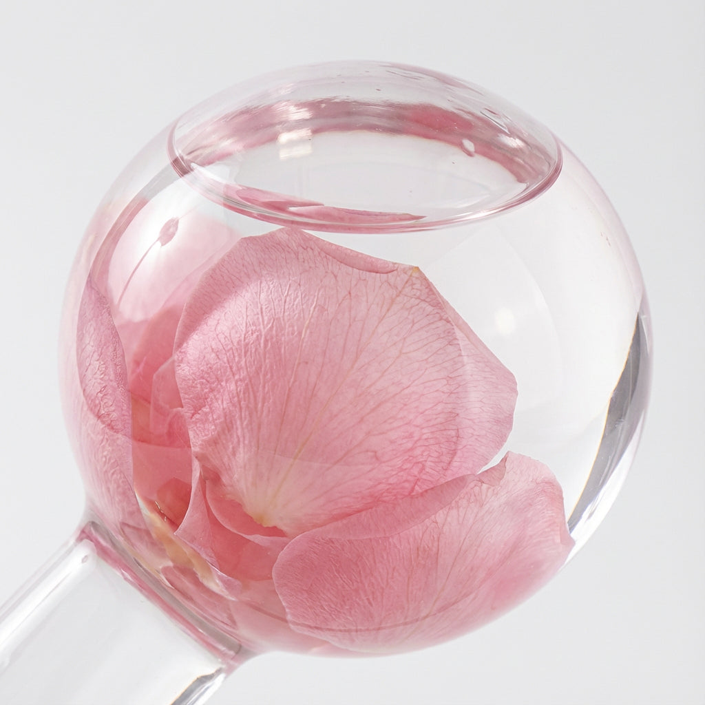 The Plot-Shock Cooling Globes: A Cold-Shock Revision for Your Next Act